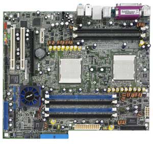 Asus K8N-DL Opteron Processor Motherboard AMD Opteron with Integrated  LAN, USB, 1 PCI Express x1, 2 PCI, NVIDIA nForce4 Professional, 6 DDR400 ECC Registered, SATA Support.