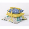 Zebra Romp Pillow Pack