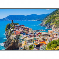 Panasonic TH-55EQ2W 55 4K UHD, 500CD/M2, SDM, LED LCD DISPLAY
