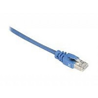 Black Box EVNSL640-0050 CAT6 550-MHZ SNAGLESS STRANDED ETHERNET PATCH CABLE - UNSHIELDED (UTP), CM PVC (