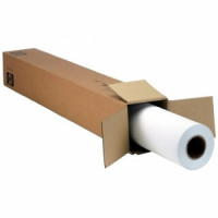 Brand Management C0F14A HP DURABLE BANNER-TYVEK 60INX75FT 2 PK