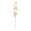 Golden Patrina Spray (Set of 12)