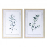 Framed Watercolor Eucalyptus Foliage Print (Set of 2)