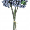 Berry Bundle 12