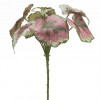 Varigated Begonia Leaf Bush (Set of 2)