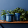 Blue Etched Terra Cotta Pot Planter (Set of 3)