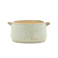 Rustic Terra Cotta Bowl Planter 8