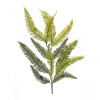 Varigated Fern Foliage Spray (Set of 6)