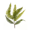 Fern Spray 28