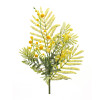 Mimosa Spray 21.5