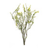 Boxwood Twig Foliage Spray (Set of 6)