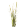 Foxtail Bush 28