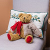 Vintage Teddy Bear with Coat and Scarf 14