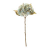 Hydrangea Stem (Set of 6)