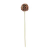 Floral Pod Stem (Set of 6)