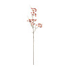 Berry Pod Spray 26