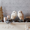 Winter Owl Decor (Set of 2)