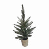 Pine Tree in Plastic Pot (Set of 2)