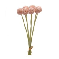 Pod Bundle (Set of 6)