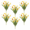 Mixed Daisy Bush (Set of 6)