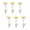 Puff Flower Stem (Set of 6)