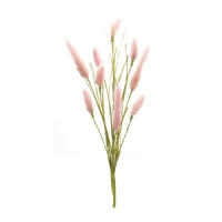 Foxtail Spray 21.25
