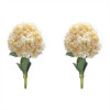 Hydrangea Bush 19
