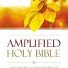 Zondervan Amplified Outreach Bible-Softcover