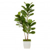 Nearly Natural 5.5 ft. Fiddle Leaf Artificial Tree with Metal Planter UV Resistant White