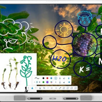 Smart RX265 RX065 DISPLAY WITH IQ
