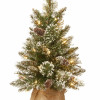 4 ft. Golden Bristle Entrance Artificial Tree with 100 Clear Lights