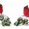 Perched Cardinal Bird on Snowy Pine Branch (Set of 4)