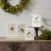 Hummingbird Print (4 Asst) 5.5
