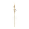 Foxtail Grass Spray (Set of 2)