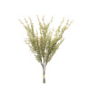 Mini Seed Pod Bundle (Set of 2)