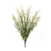 Mayweed Bush 25