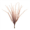 Grass Plume Bundle (Set of 6)