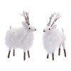 Reindeer (Set of 2) 7