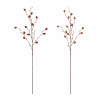Pomegranate Spray (2 Asst) 40