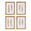 Framed Fern Print (4 Asst) 17.75