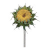 Sunflower Stem 23.5