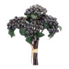 Berry Bundle 11
