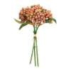 Orange Berry Bundle (Set of 2)