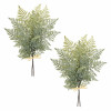Fern Foliage Bundle (Set of 2)