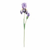Iris Floral Stem (Set of 6)