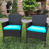 Resin Wicker & Steel Contemporary Arm Chair with Cushions, Antique Black - Set of 2