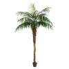 7 ft. Potted Pheonix Palm Tree 899-Leaves