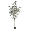 8 ft. Potted Olive Tree 1449-Leaves
