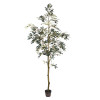 7 ft. Potted Olive Tree 1175-Leaves