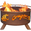 Patina Products Washington State University Fire Pit
